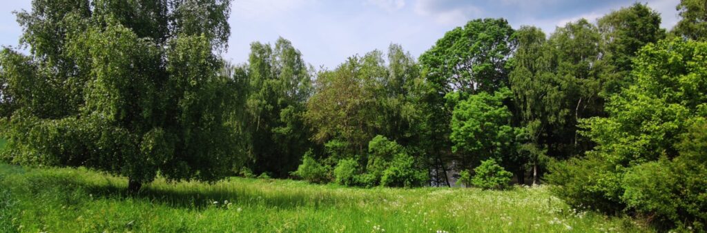 20210612 110226 20210612 110226