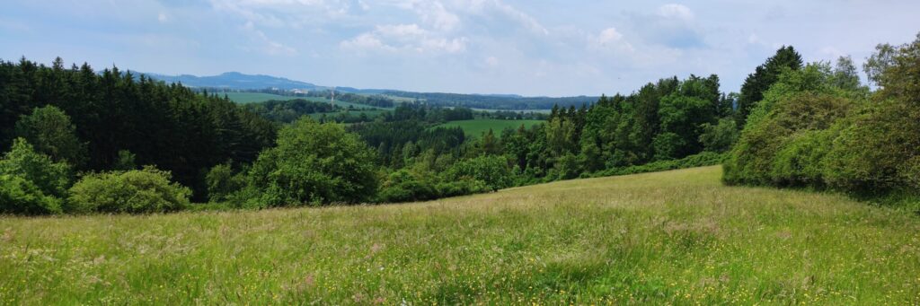 20210612 114501 20210612 114501