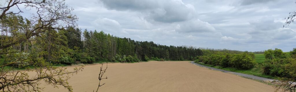 20230513 150431 20230513 150431