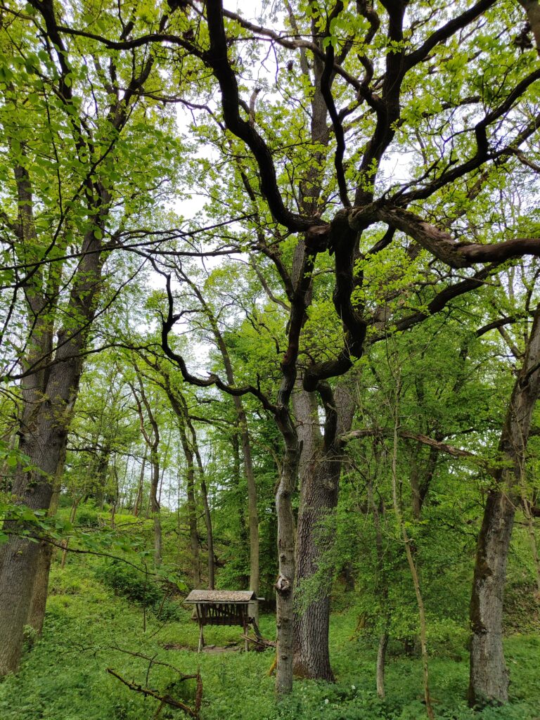 20230513 151638 20230513 151638